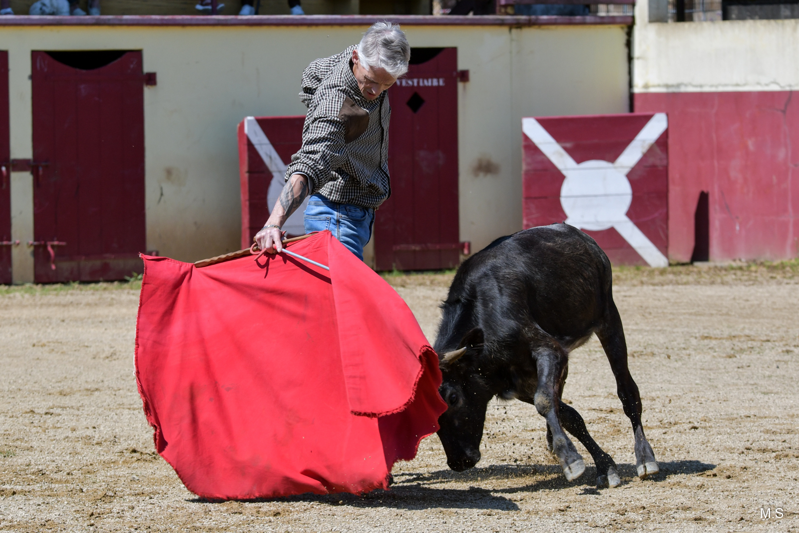 Torero en action