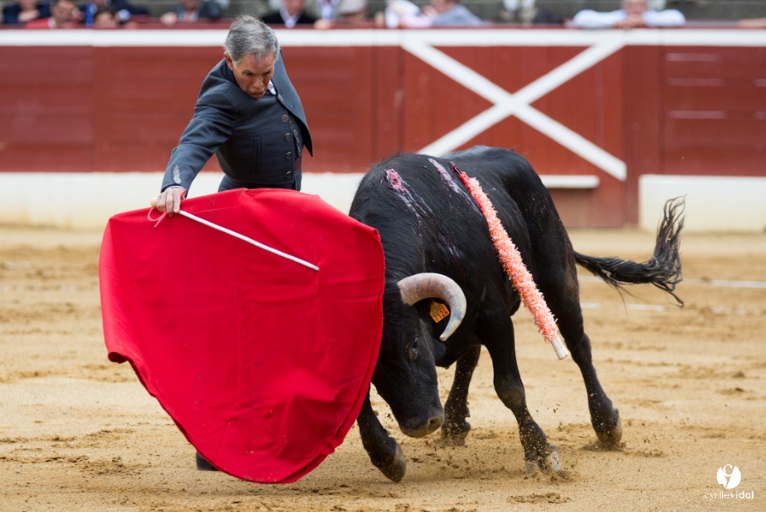 Festival Del Corazon